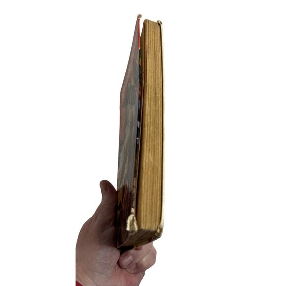 Robinson Crusoe Daniel Defoe Vintage Mid-20th century German/Deutsch edition - Picture 5 of 15